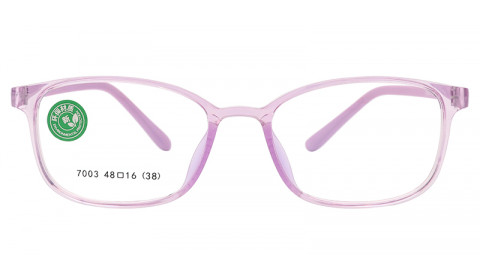7003-image0