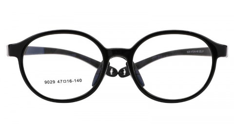 9029-image0