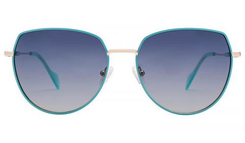 S5007-image0