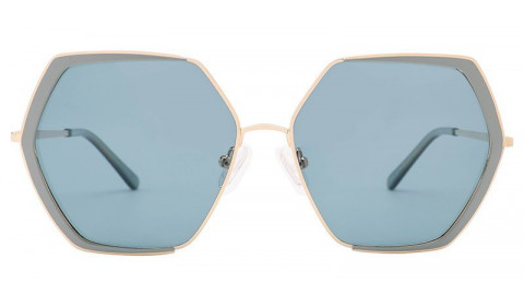 S7005-image0