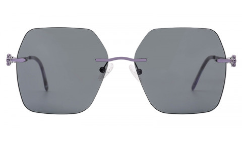 TS5010-image0