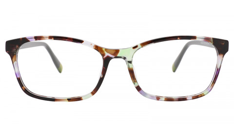 WD2224-image0
