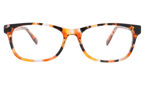 WD2226-image0